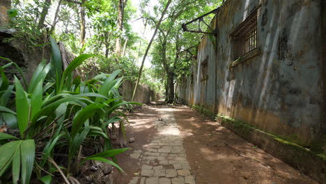 Walking-on-a-path-in-Saint-Joseph-Island-penal-colony-French-Guiana,-solitary-co